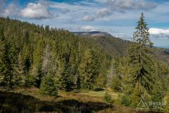 Na niebieskim szlaku na Halę Radziechowską