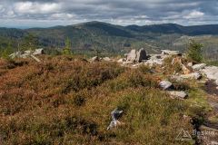 Na Magurce Radziechowskiej