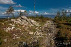 Na Magurce Radziechowskiej
