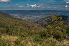 Na zielonym szlaku z Magurki Radziechowskiej do Ostrego