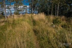 Na grzbiecie Murońki