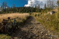 Na żółtym szlaku na Malinowską Skałę