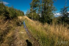 Na żółtym szlaku na Malinowską Skałę