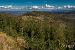 Na żółtym szlaku na Malinowską Skałę