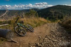 Na zielonym szlaku na Malinowską Skałę