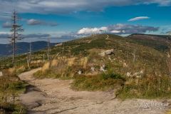 Na zielonym szlaku na Malinowską Skałę