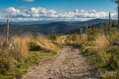 Na zielonym szlaku na Malinowską Skałę