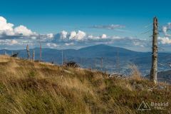 Na zielonym szlaku pomiędzy Malinowską Skałą a Skrzycznem