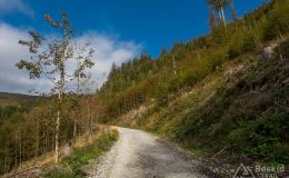 IMG_3849