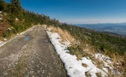 Podjazd na Skrzyczne drogą szutrową z doliny Zimnika
