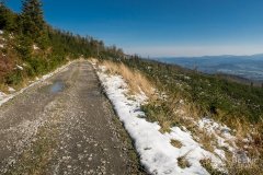 Podjazd na Skrzyczne drogą szutrową z doliny Zimnika