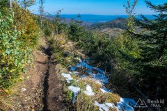 Żółty szlak tuż przed Malinowską Skałą