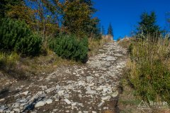 Pod Malinowską Skałą