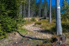 Podjazd z Cieńkowa na Gawlasi