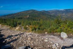 Na zielonym szlaku pod Magurką Wiślańską