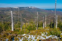 Czerwony szlak z Magurki Wiślańskiej w kierunki Magurki Radziechowskiej