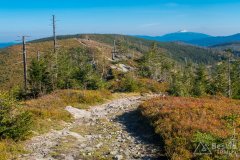 Czerwony szlak z Magurki Wiślańskiej w kierunki Magurki Radziechowskiej
