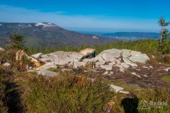 Czerwony szlak z Magurki Wiślańskiej w kierunki Magurki Radziechowskiej