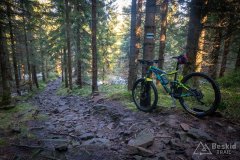 Zielony szlak z Magurki Radziechowskiej do Lipowej-Ostre (początek)