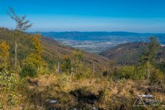 Zielony szlak z Magurki Radziechowskiej do Lipowej-Ostre (środek)