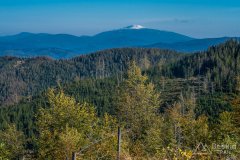 Zielony szlak z Magurki Radziechowskiej do Lipowej-Ostre (środek)