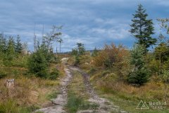 Na szlaku rowerowym ponad Kamesznicą