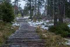 Na czerwonym szlaku z Przysłopu na Baranią Górę