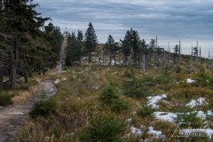 Na czerwonym szlaku z Przysłopu na Baranią Górę