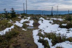 Na czerwonym szlaku z Przysłopu na Baranią Górę