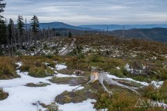 Widok z Baraniej Góry na północ