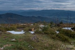 Widok z Baraniej Góry na wschód