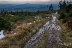 Na czarnym szlaku z Baraniej Góry do Kamesznicy