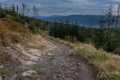 Na czarnym szlaku z Baraniej Góry do Kamesznicy