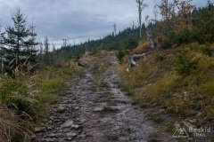 Na czarnym szlaku z Baraniej Góry do Kamesznicy