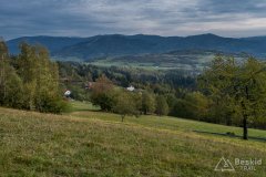 Zielony szlak z Fajkówki do Kamesznicy-Złatna