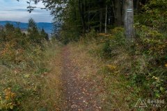 Zielony szlak z Kamesznicy-Złatna do Węgierskiej Górki