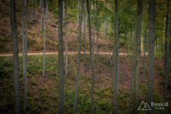 Zielony szlak z Kamesznicy-Złatna do Węgierskiej Górki