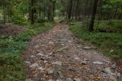 Czerwony szlak do Węgierskiej Górki