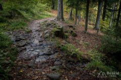 Czerwony szlak do Węgierskiej Górki