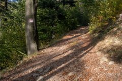 Czerwony szlak do Węgierskiej Górki