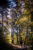 IMG_4053