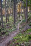 IMG_4062