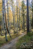IMG_4071