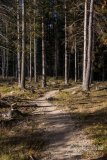 IMG_4073