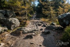 IMG_4088