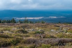 IMG_4094
