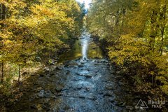 IMG_4096