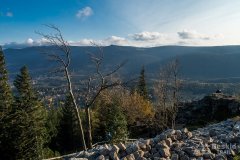 IMG_4141