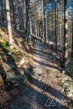 IMG_4156