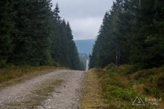 IMG_4240